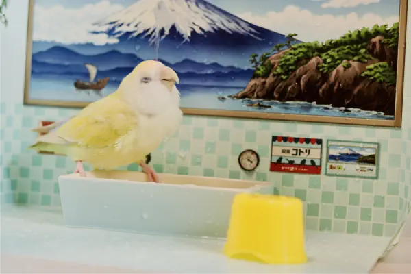 あ〜気持ちいい〜