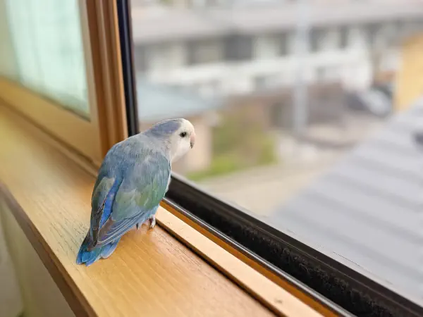 今日の空はどんな色?