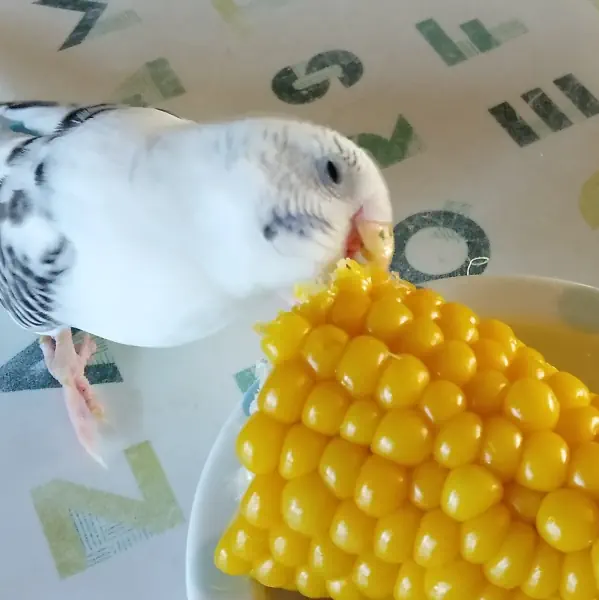 これこれ!