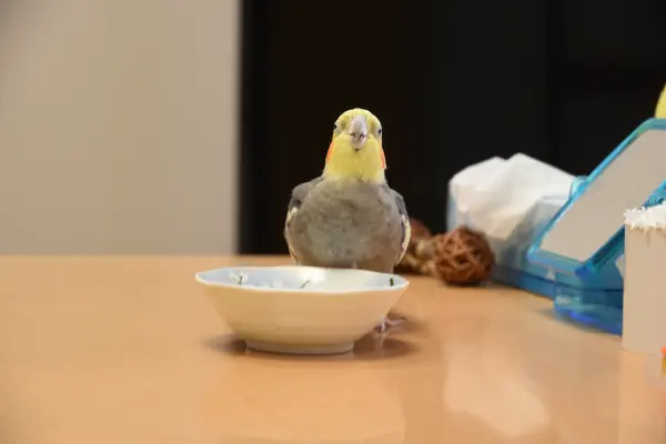おいしー!.JPG