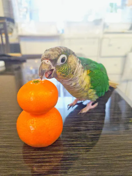 味見だけ〜