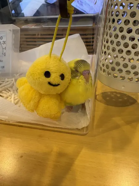 初めてのお友だち