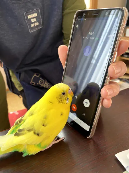 もしもし〜