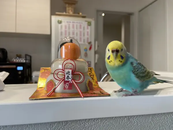 今年もよろしく