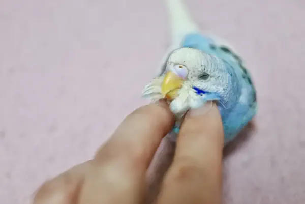 はぁ〜気持ちぃ〜