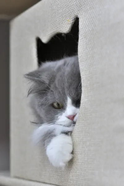 呼んだ?