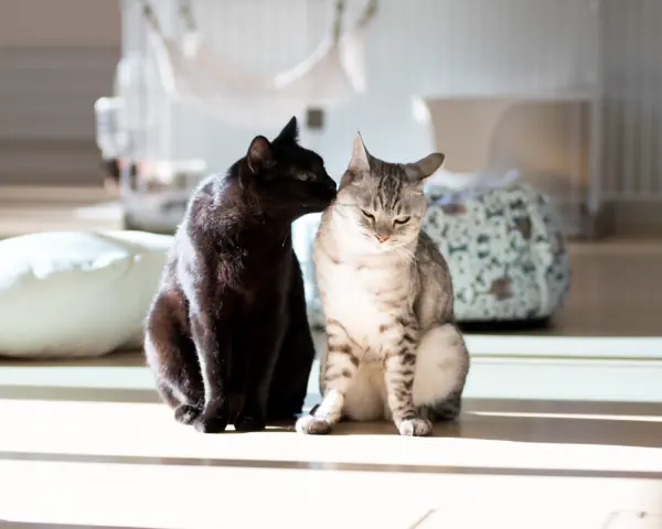 Chu♡