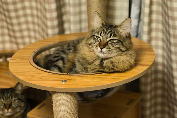 眠たいな