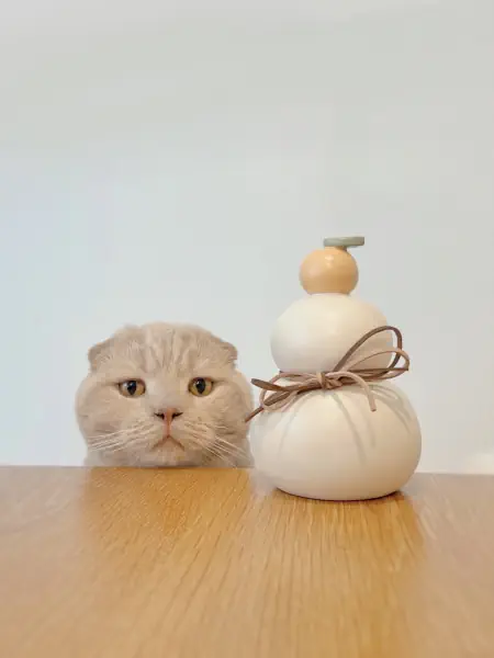 謹賀新年