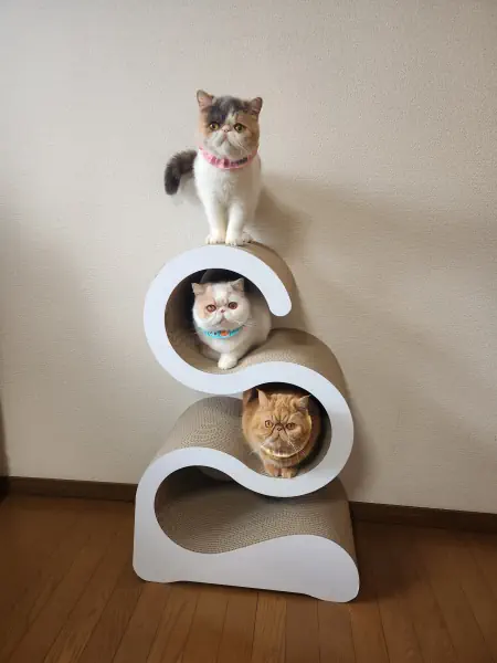 みんなで仲良く