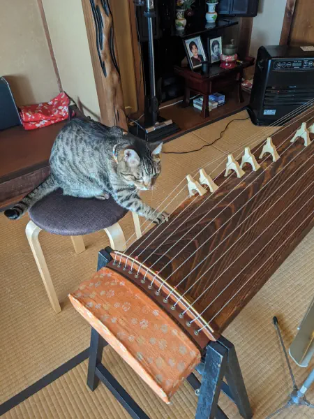 お稽古