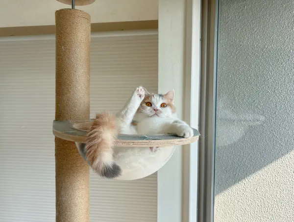 なにしてるん?