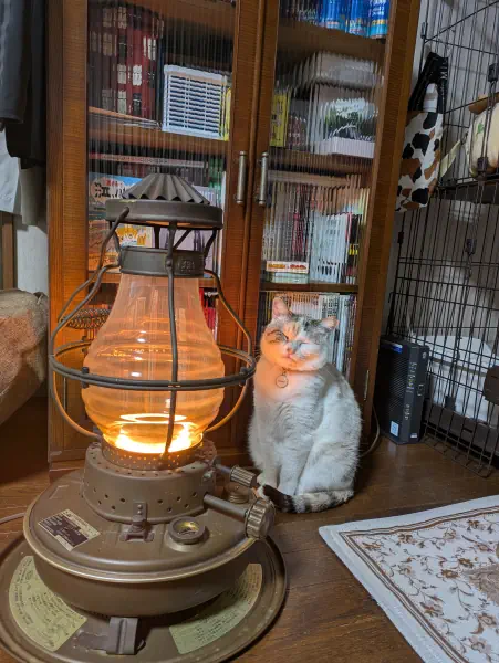 あったかいんだニャ