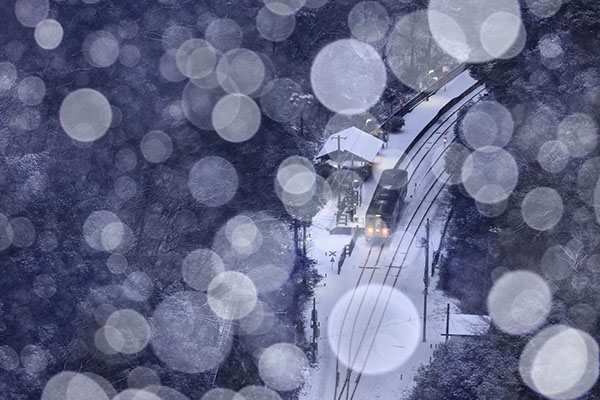 大坪邦仁先生が撮影した写真4