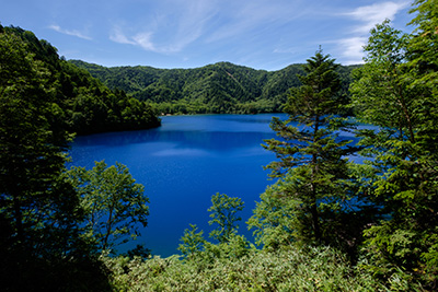大沼池（おおぬまいけ）の青い水