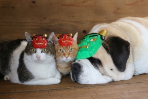 赤鬼猫と緑鬼犬～節分～