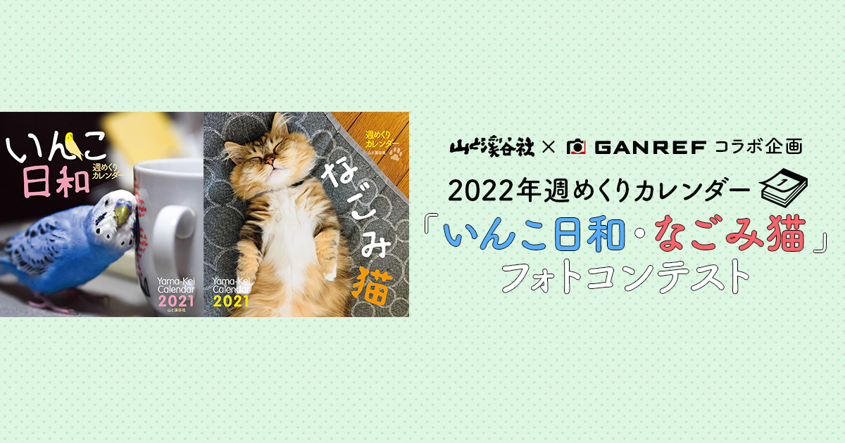 22年週めくりカレンダー いんこ日和 なごみ猫 フォトコンテスト Ganref