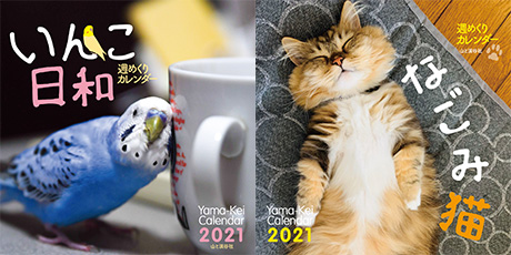 22年週めくりカレンダー いんこ日和 なごみ猫 フォトコンテスト 結果発表 Ganref