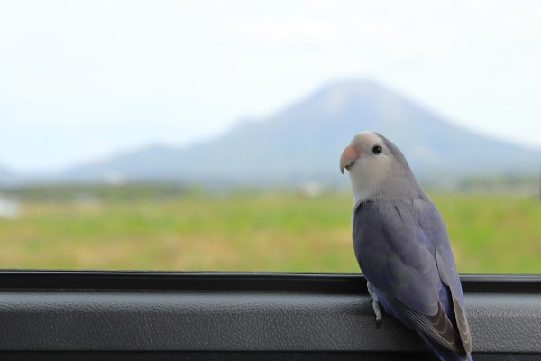 タイトル　ここ綺麗だね~