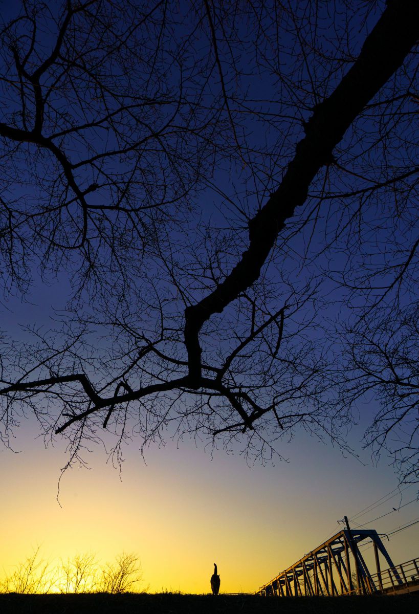 冬の夕暮れに浮かぶ