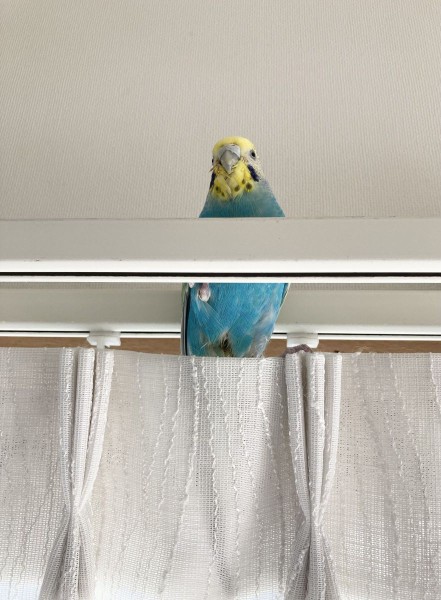 いい眺めだな