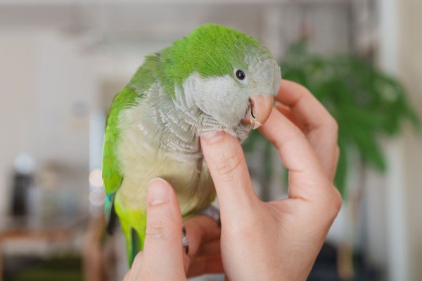 カキカキされながらカメラ目線