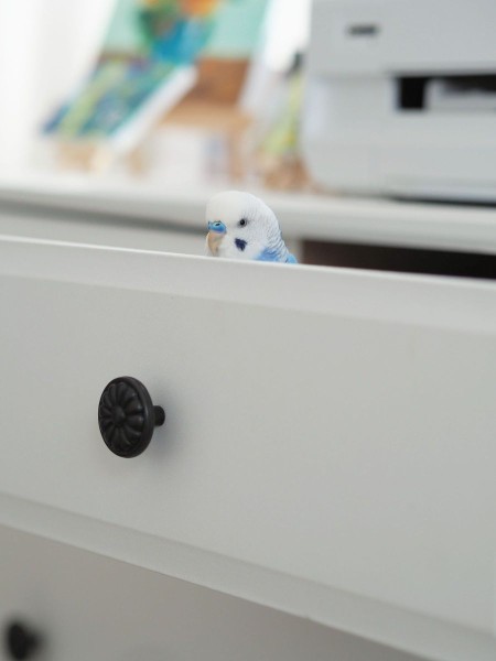タンスの屋上に住んでます