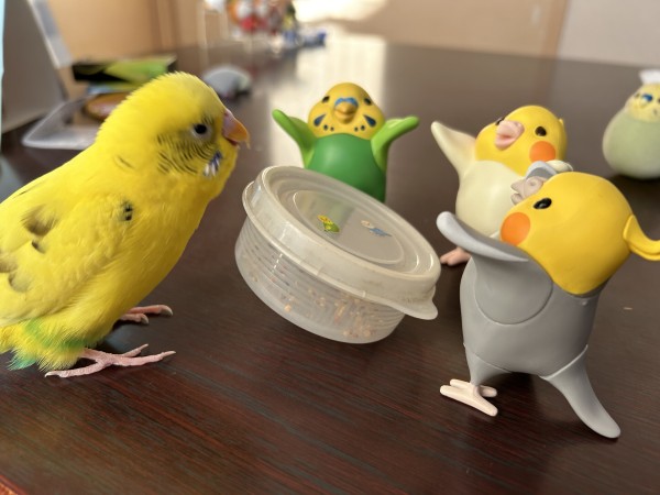 みんなでよいしょ！
