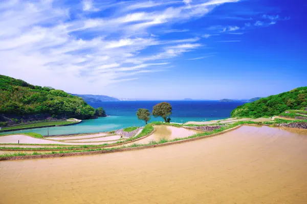 ５月晴れの棚田