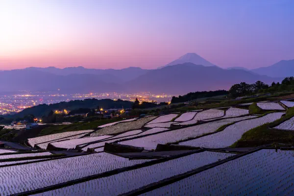 水面に映る朝の光  