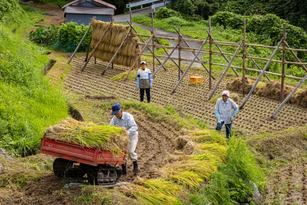 主役はお爺ちゃん