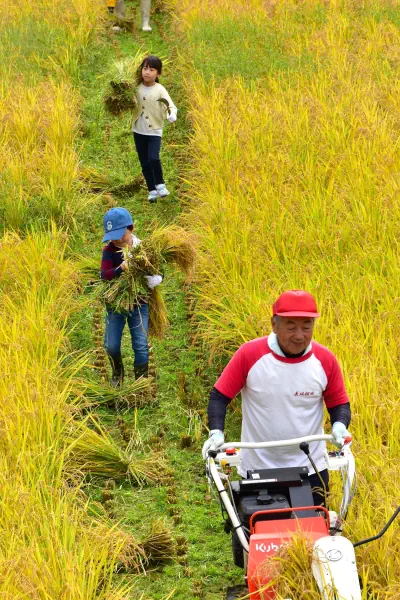 収穫のしあわせ