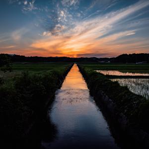 夜明けの浜辺 夜明けの浜辺 | GANREF