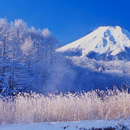忍野村（山梨県）