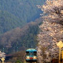 樽見鉄道（岐阜県）