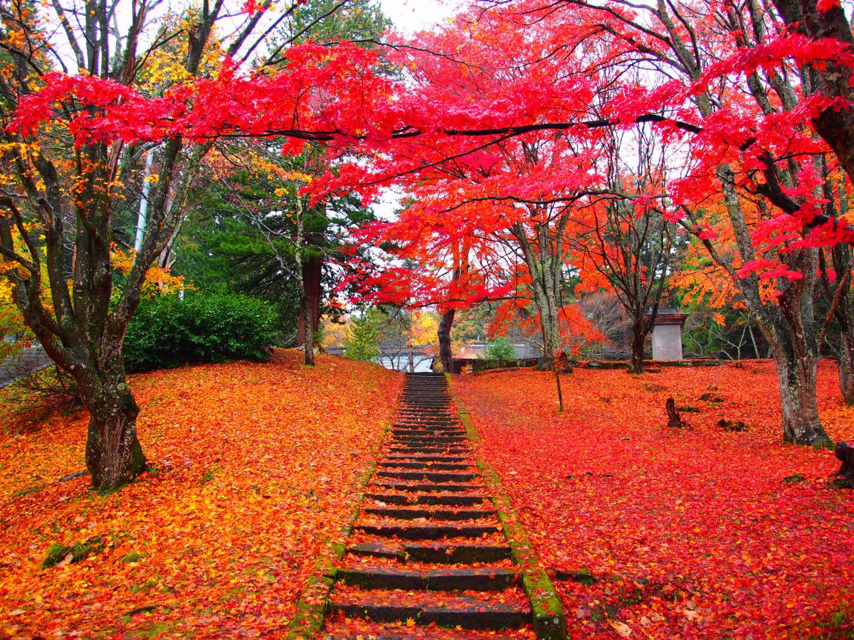 土津神社（福島県）
