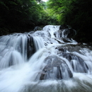 魚止めの滝