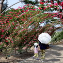 敷島公園