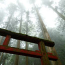 榛名神社
