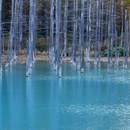 白金の青い池