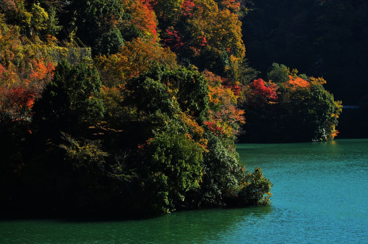 丹沢湖（神奈川県）
