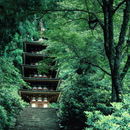 室生寺（奈良県）