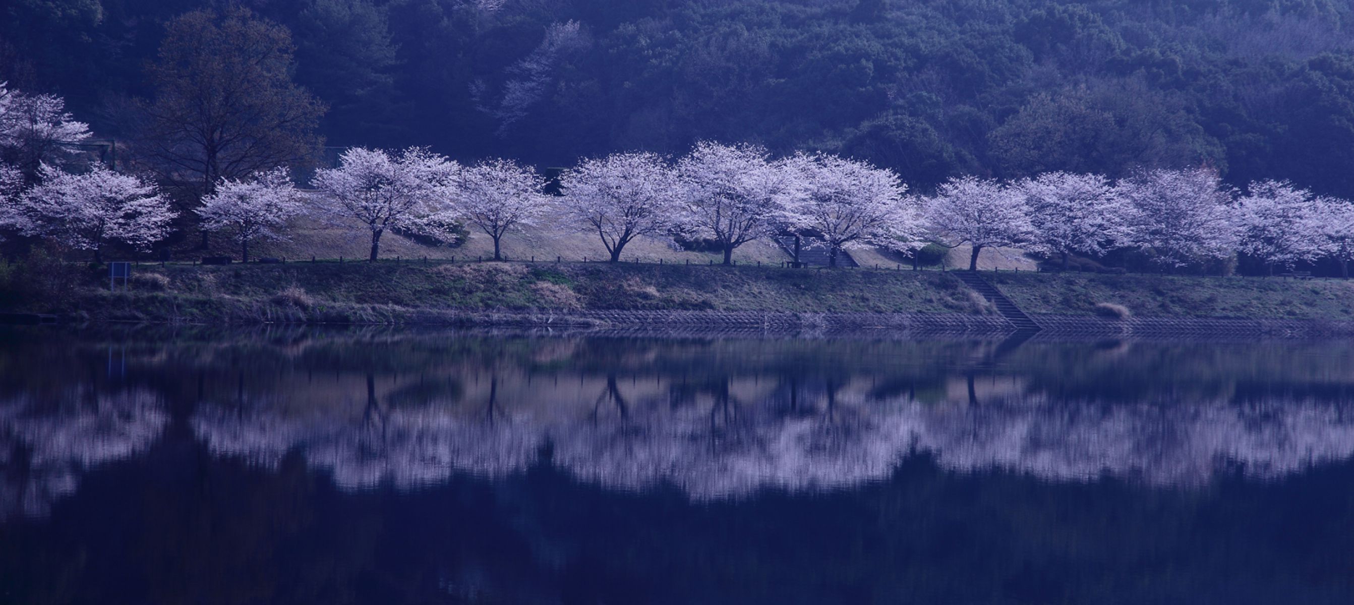 蒲生の池（熊本県）