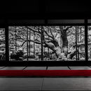 京都　宝泉院