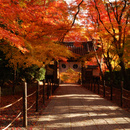 京都　光明寺