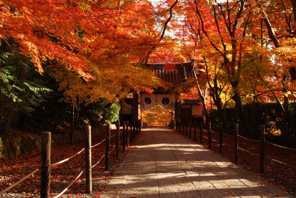 京都　光明寺