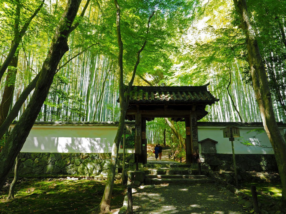 京都　地蔵院