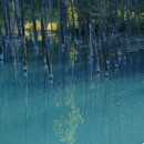 樺池
