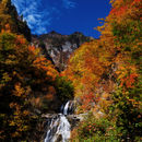 秋山郷