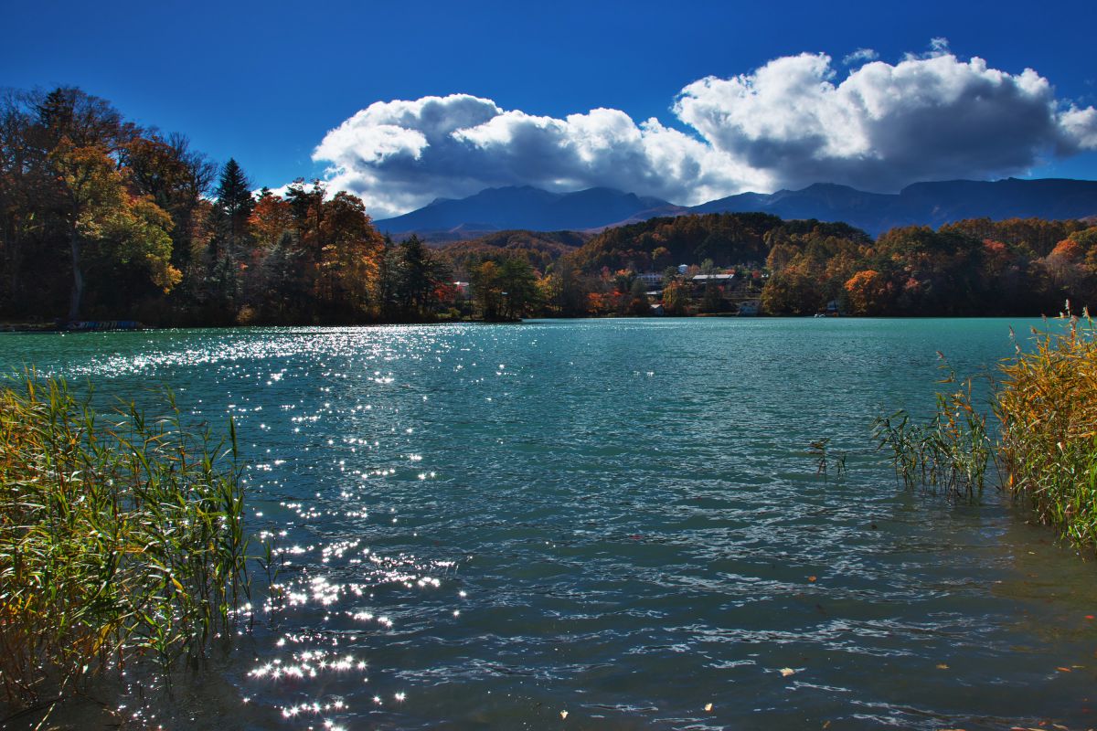 松原湖（長野県）